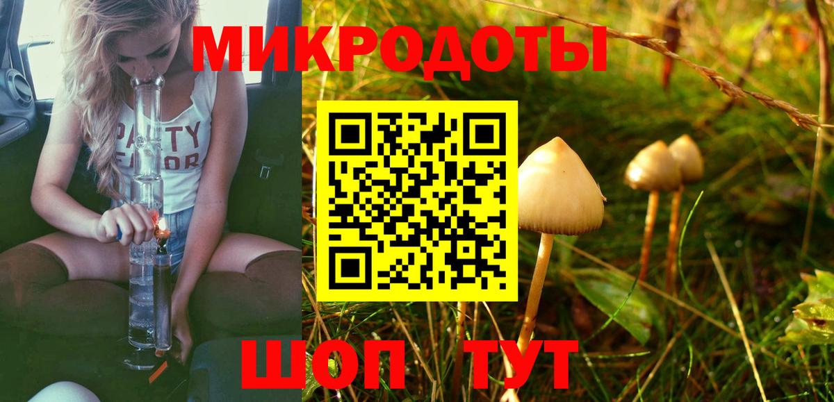 ГАШ Красногорск