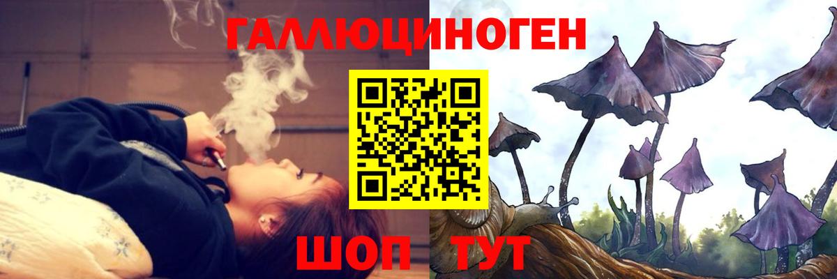 Псилоцибиновые грибы Psilocybine cubensis  Вход с VPN  Красногорск 